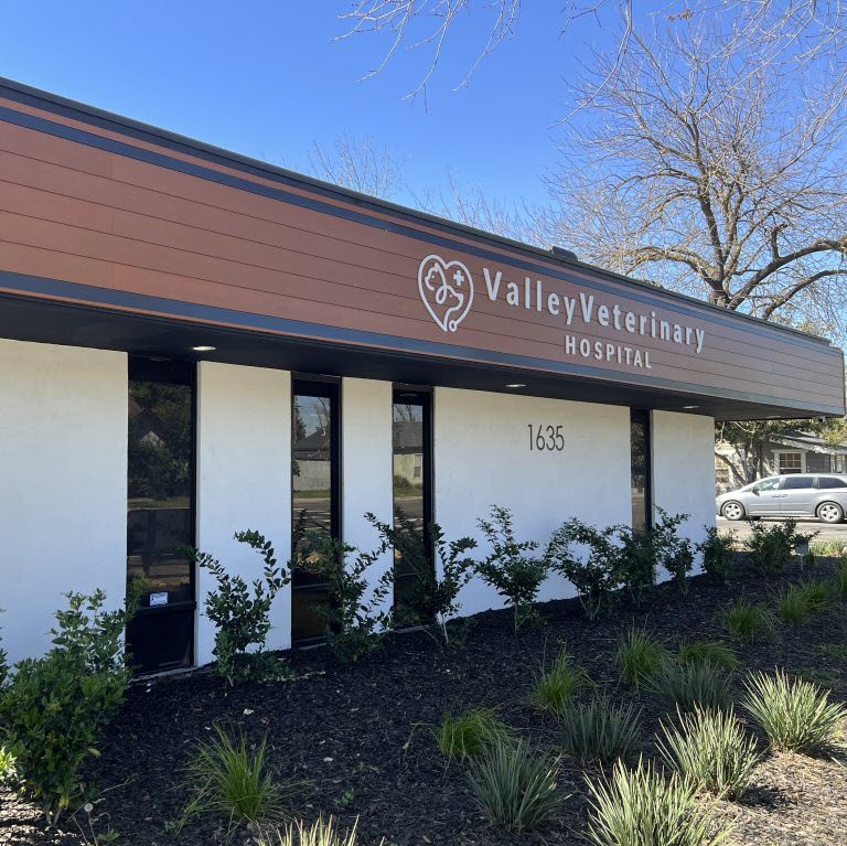 Valley Veterinary 1