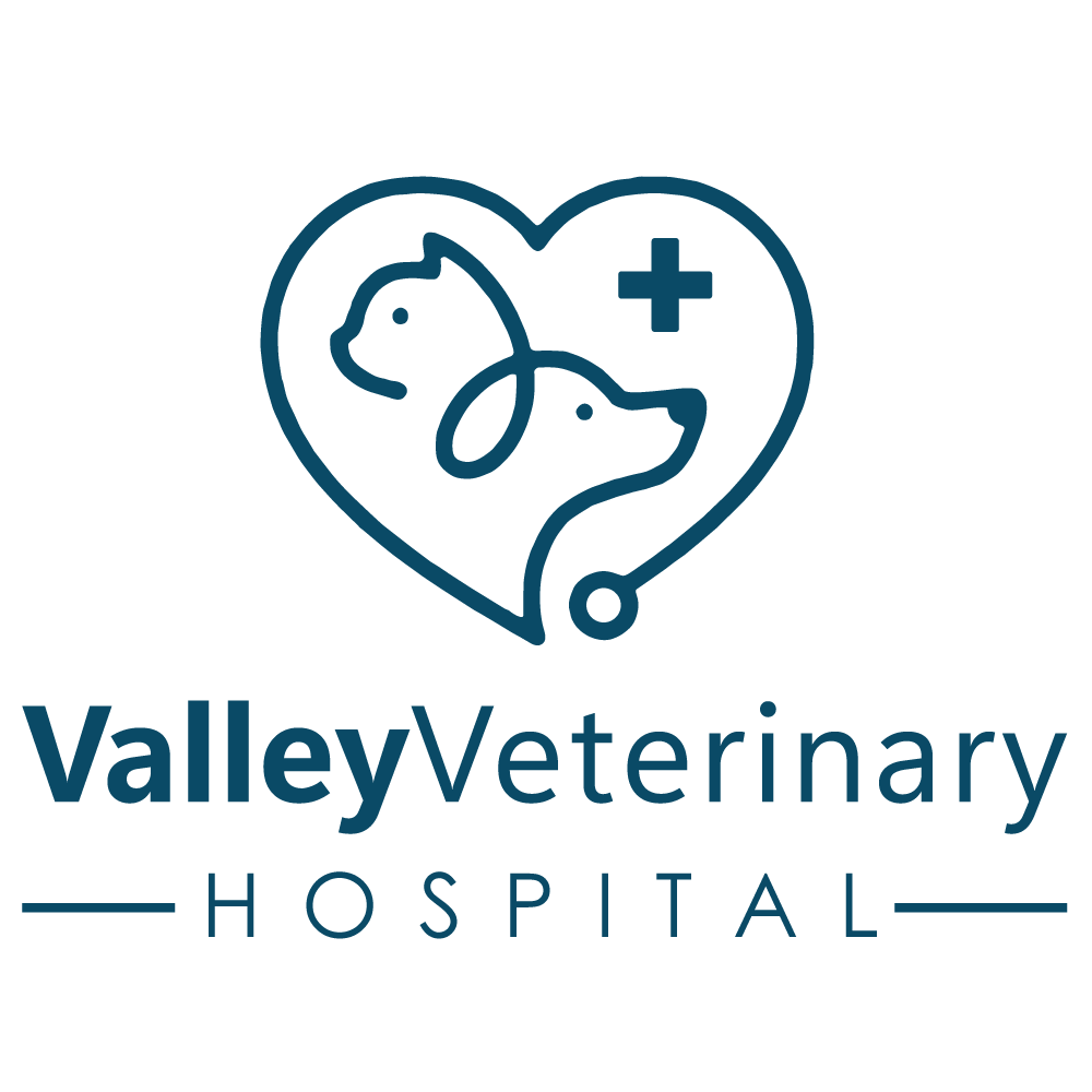 Valley Veterinary Hospital